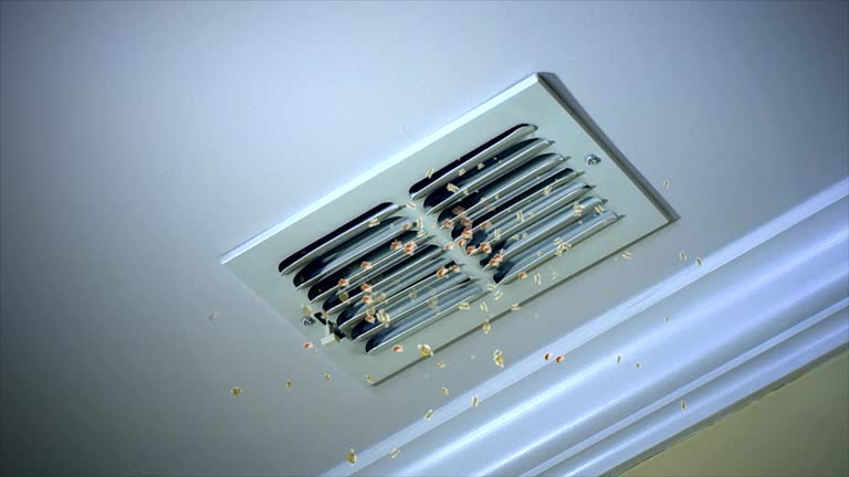 Best Best Air Duct Cleaning Near Me  in Newpt, OR